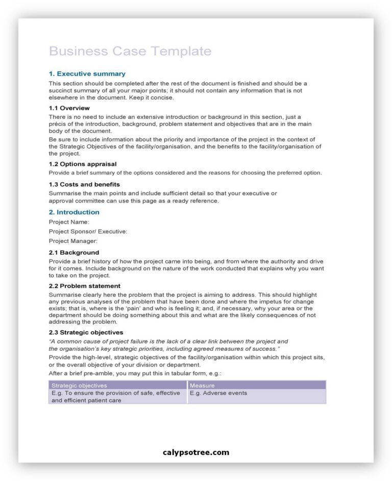 12 Best Business Case Template And How To Write - Calypso Tree