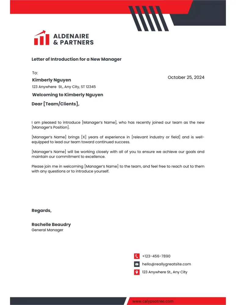 Professional Letter of Introduction for a New Manager